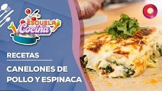 RECETA de CANELONES RELLENOS DE POLLO Y ESPINACA  EscuelaDeCocina [upl. by Namien]