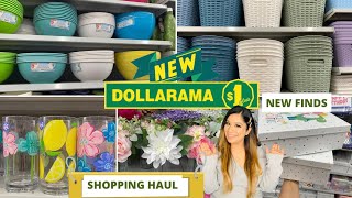 Dollarama Canada Dollar Store Find amp Shopping Haul Dollarama Home Kitchen Pantry closet organizers [upl. by Garling296]