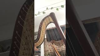 Waltz of the Flowers Harp Cadenza decent rendition [upl. by Dhar889]