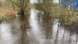 Muehlenau bei Pinneberg mit Hochwasser [upl. by Barr114]