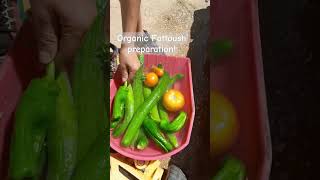 Fattoush from our garden kids lebanon [upl. by Gardiner]