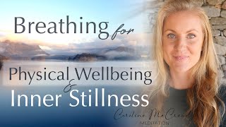 20 Min Breathing Meditation for Physical Wellbeing and Inner Stillness  Daily Routine [upl. by Ifen]