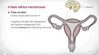 SMP Biologi Kelas 9  Proses dan Siklus Menstruasi [upl. by Enomsed]