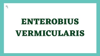 Enterobius Vermicularis  Pin Worms  Enterobiasis  Nematodes  Parasitology [upl. by Nager]