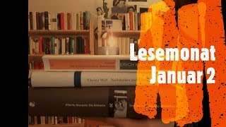 Lesemonat Januar 2020 2 von der Moral [upl. by Ailemac]