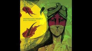 Mushrooms Project  Rivea Corymbosa New Album Minimix Preview [upl. by Marmawke]