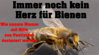 Kein Herz für Bienen  wie unsere Bienen getötet werden [upl. by Eiramac]