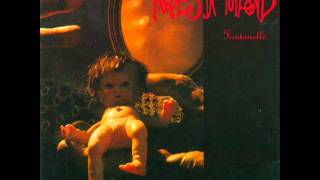 Babes in Toyland  Fontanelle Full Album [upl. by Nylla277]