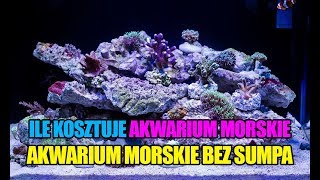 31 MyReef 50  Ile kosztuje akwarium morskie  Reef aquarium [upl. by Nylrac917]