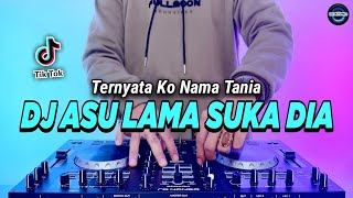 DJ ASU LAMA SUKA DIA REMIX FULL BASS VIRAL TIKTOK TERBARU 2023  DJ TERNYATA KO NAMA TANIA [upl. by Ylebmik]