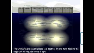 BGB Marine  Aquaculture Animation [upl. by Bartie]