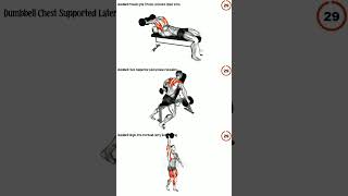 Workout With Dumbbells Beginner [upl. by Hayikat838]