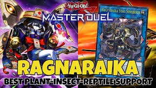 NEW RAGNARAIKA CARDS MAKE BEETROOPER DECK SO MUCH BETTER YuGiOh Master Duel [upl. by Ellenad]