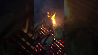 Amazing Big Green Egg 700 degree Chicago style steaks [upl. by Arola]