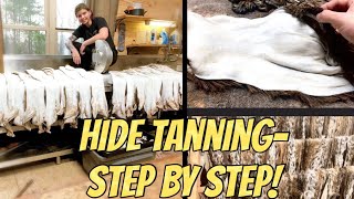 StepByStep COMPLETE TANNING TUTORIAL Taxidermy WET and DRY tans Anyone can do it [upl. by Adina]