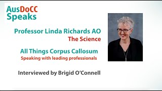 All Things Corpus Callosum  Prof Linda Richards  The Science 1 [upl. by Coridon118]