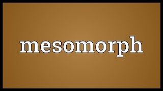 Mesomorph Meaning [upl. by Loy641]