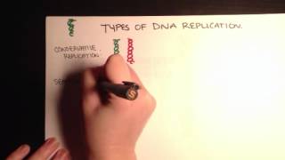 Types of DNA replication [upl. by Ylrehc]