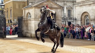 HORSE QUITS  King’s Guards Shows Brilliant Display of Horsemanship Talent [upl. by Borek303]