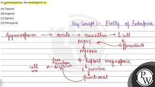 In gymnosperms the endosperm is [upl. by Yrram973]