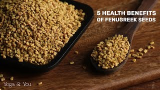 5 Surprising Health Benefits of Fenugreek Seeds  Secret Power of Fenugreek Seeds VentunoYoga [upl. by Ennaeed]