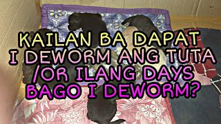 KAILAN BA DAPAT I DEWORM ANG TUTAASO ILANG DAYS BAGO I DEWORM [upl. by Butch]