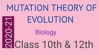 Mutation Theory of Evolution Biology for Classes 10th and 12th 202021 [upl. by Azile]