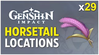 ALL 29 Horsetail Locations  Genshin Impact [upl. by Llewoh]