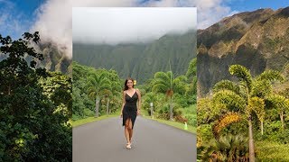 Best spot for photoshoot in Hoomaluhia Botanical Garden in Kaneohe Hawaii [upl. by Irreg74]