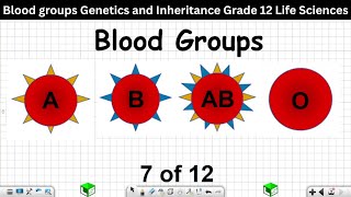 Blood groups Genetics and Inheritance Grade 12 Life Sciences 7 of 12 [upl. by Noit416]