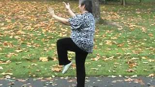 Yang Family tai chi long form second section [upl. by Dinah]