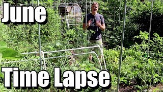 Amazing Garden Transformation in June Garden Time Lapse [upl. by Kevan]