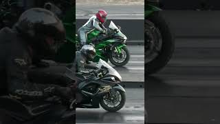 H2 Kawasaki vs Hayabusa [upl. by Nereus]