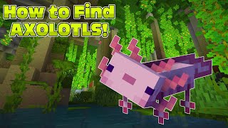 How to Find Axolotls MINECRAFT [upl. by Etterual]