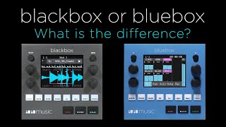 Blackbox vs Bluebox What is the difference [upl. by Enyaw799]