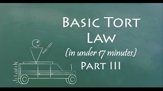 Understand Tort Law in 17 Minutes Part III [upl. by Htiel]