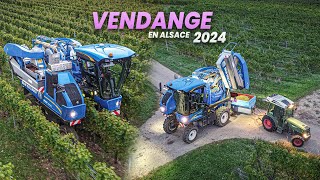 🍇 Vendange 2024 en Alsace 🥨🤩  New Holland amp Fendt  Domaine Hartweg [upl. by Plank412]