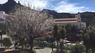 45º Fiestas del Almendro en Flor de Tejeda 2015 [upl. by Muscolo]