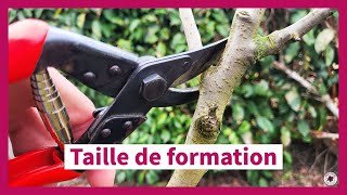 La taille de formation des arbres fruitiers en axe vertical [upl. by Pelpel]