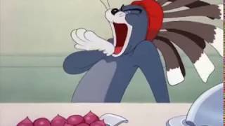 Tom amp Jerry Theme Song remix 26 [upl. by Anoj]