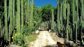 Hacienda Purísima de Jalpa San Miguel de Allende Gto Mexico [upl. by Perrine]