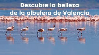 UN VIAJE AL CORAZON DE LA ALBUFERA DE VALENCIA [upl. by Schiffman]