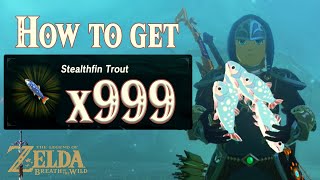 Where to find Stealthfin Trout in Zelda Breath of the Wild 🐟 [upl. by Namhcan]