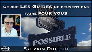 « Ce que les guides ne peuvent pas faire pour nous » avec Sylvain Didelot [upl. by Noryk]