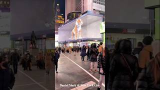 ❣️❣️ Tiger At Times square New York City timessquare4k newyorkcity travel [upl. by Ly297]