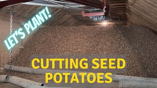 How we cut our seed potatoes [upl. by Latimore]