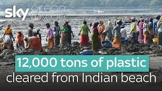 12000 tons of plastic cleared from Indian beach [upl. by Acilegna]