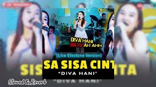 Diva Hani Slowed Sisa Sisa Cinta [upl. by Cibis]