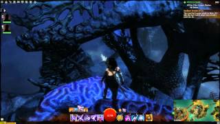 Guild Wars 2 Viziers Tower Skill Point  Vista [upl. by Eiralc473]