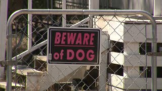 District 7 Councilwoman introduces measures to control dangerous dogs owners [upl. by Nrevel]